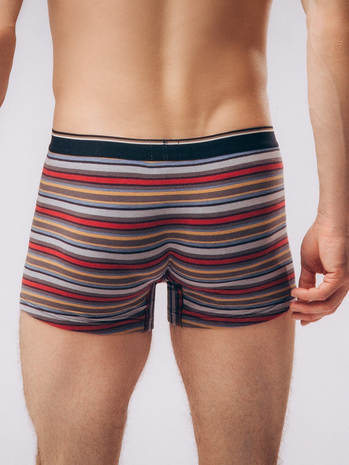 Мужские трусы (Арт. 1230MUG)