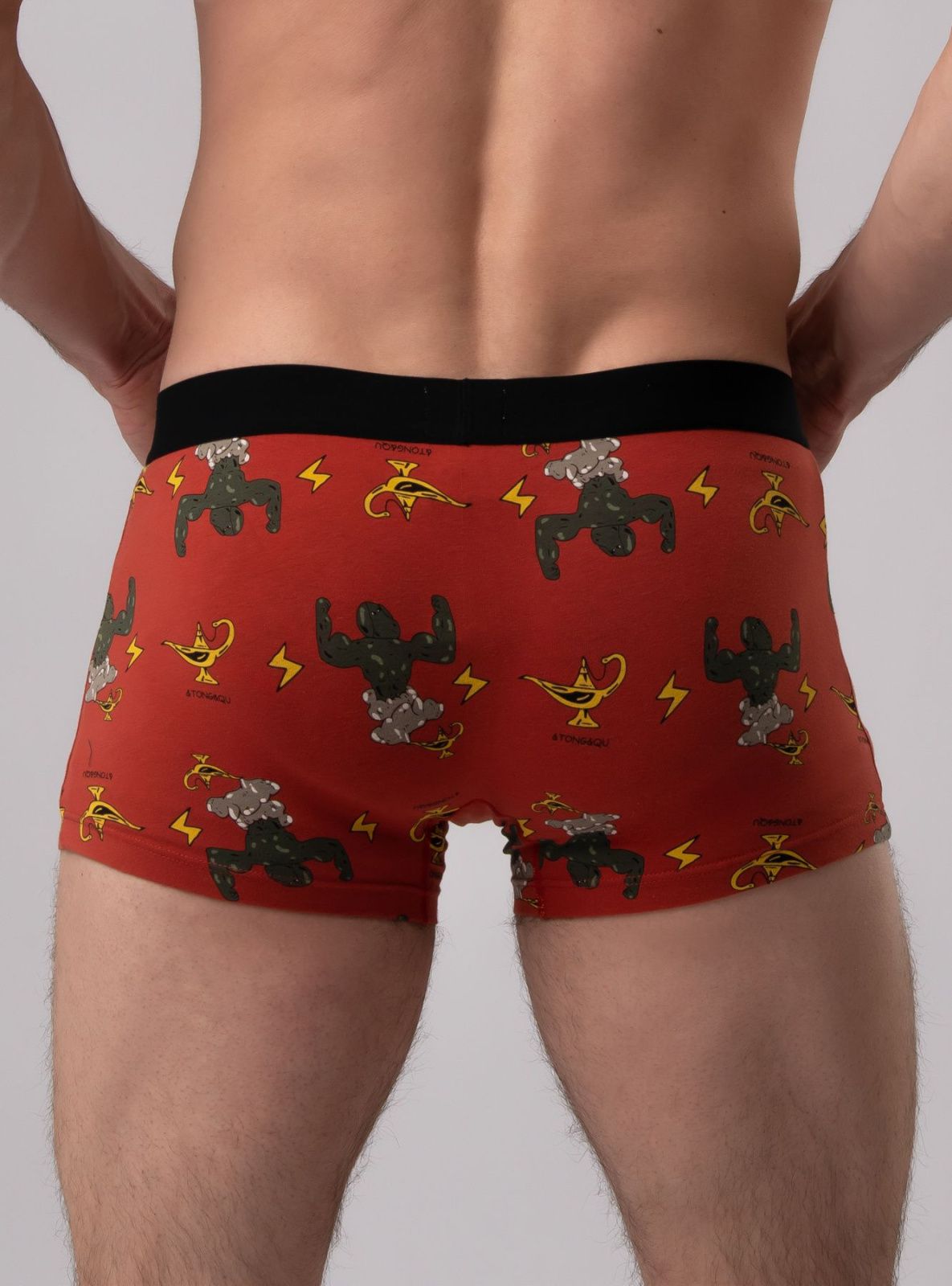 Мужские трусы (Арт. 2046MUF)