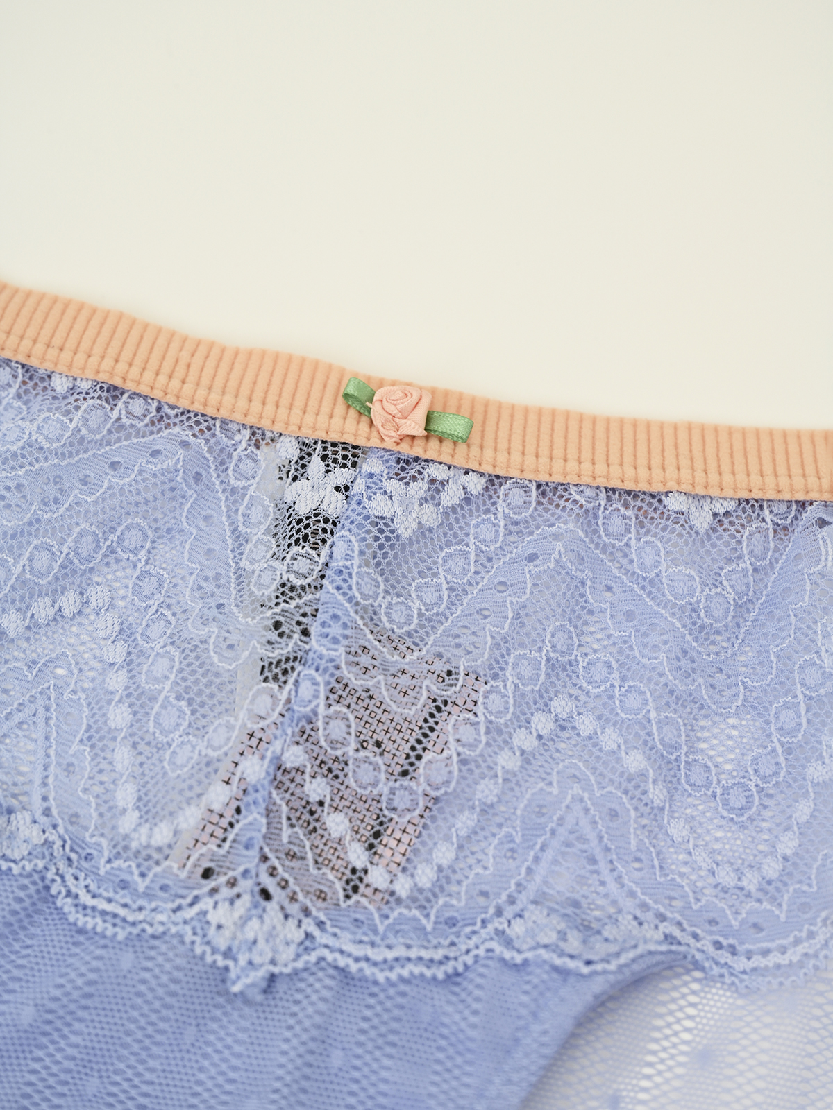 Кружевные прозрачные трусы слипы Indefini (Арт. 1390LUS)