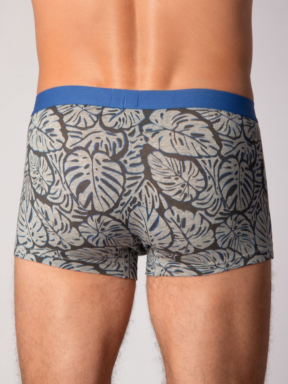 Мужские боксеры с принтом Indefini (Арт. 3029MUG)