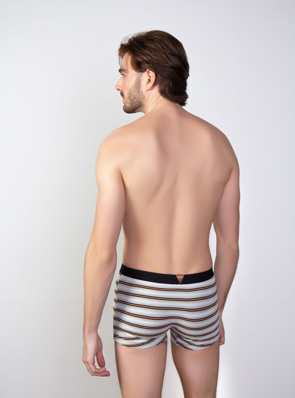 Трусы боксеры мужские из хлопка в полоску (Арт. 631000-1007MUF)