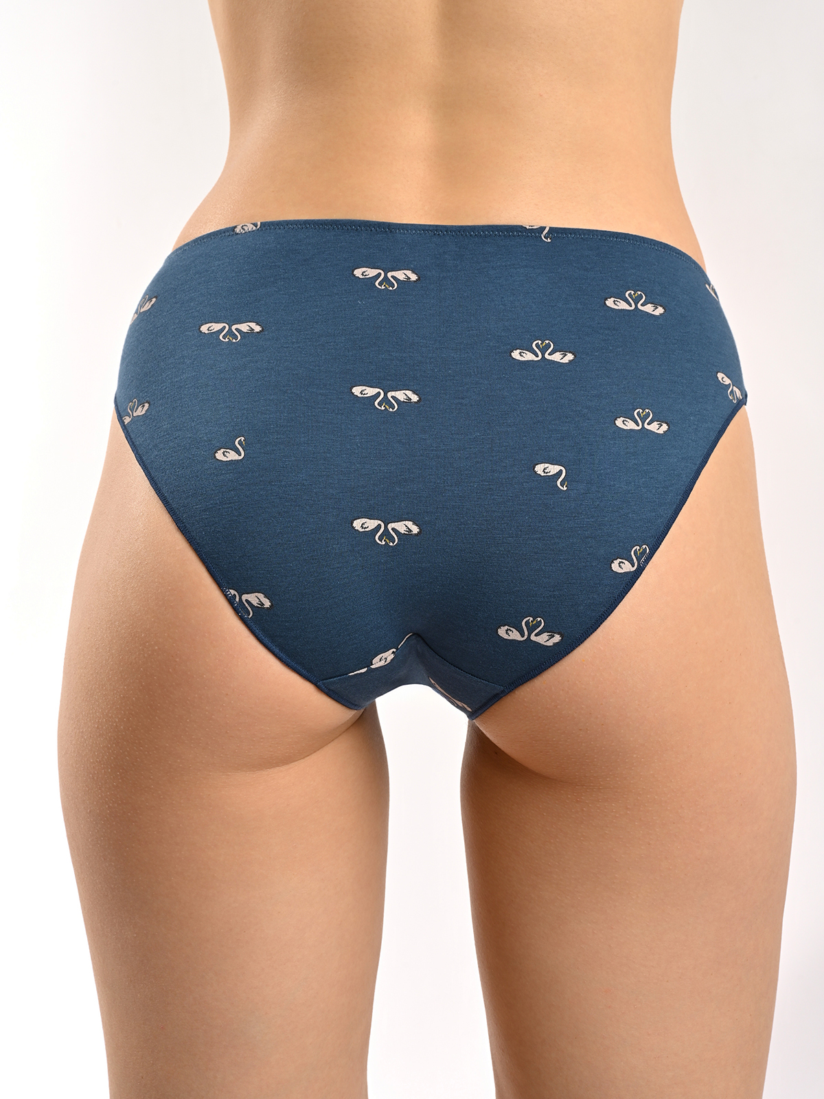 Женские трусы слипы 2 пары (Арт. 4101LUFZ)