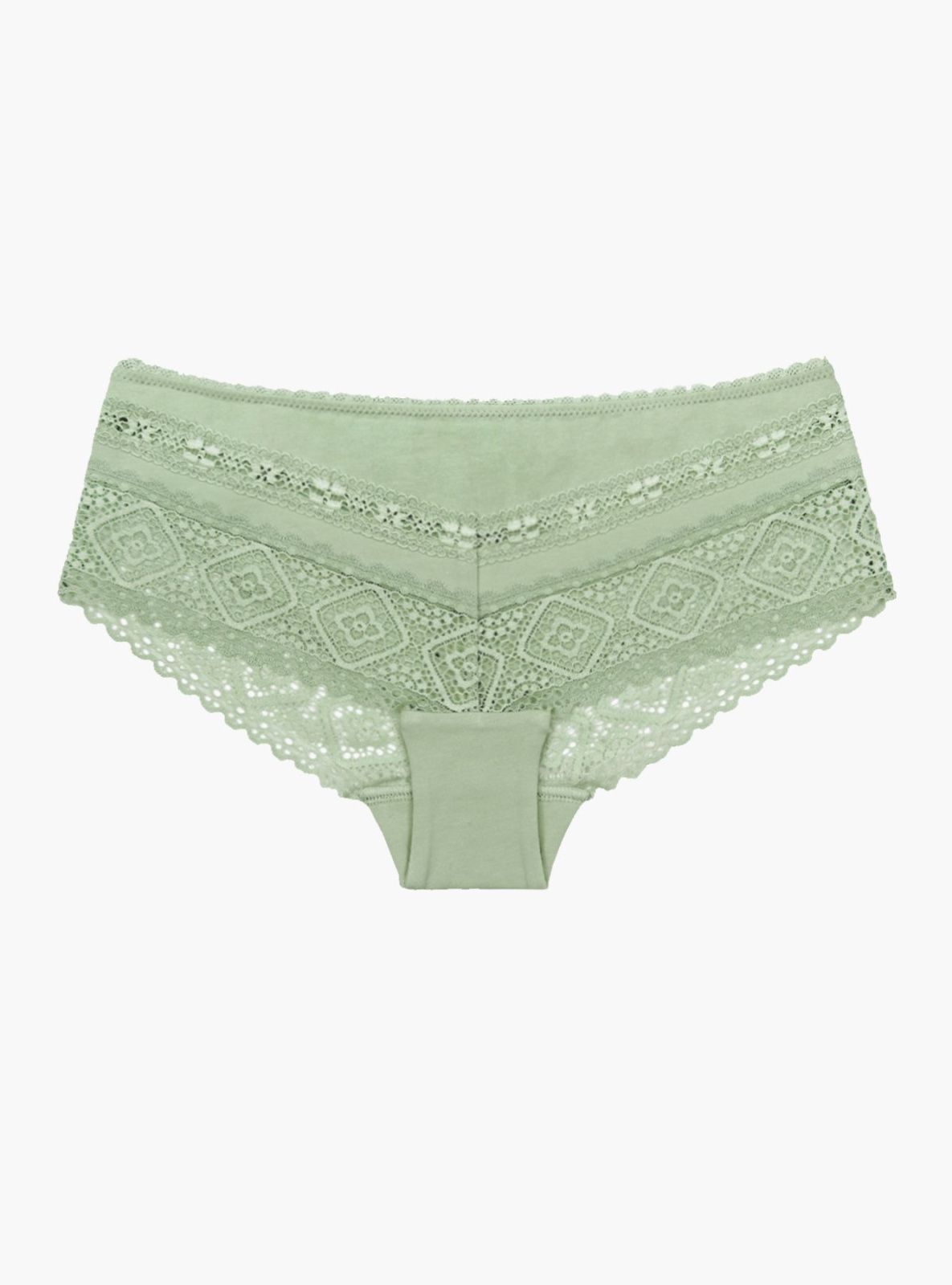Прозрачные слипы из хлопка с кружевом Indefini (Арт. 0159LUS)
